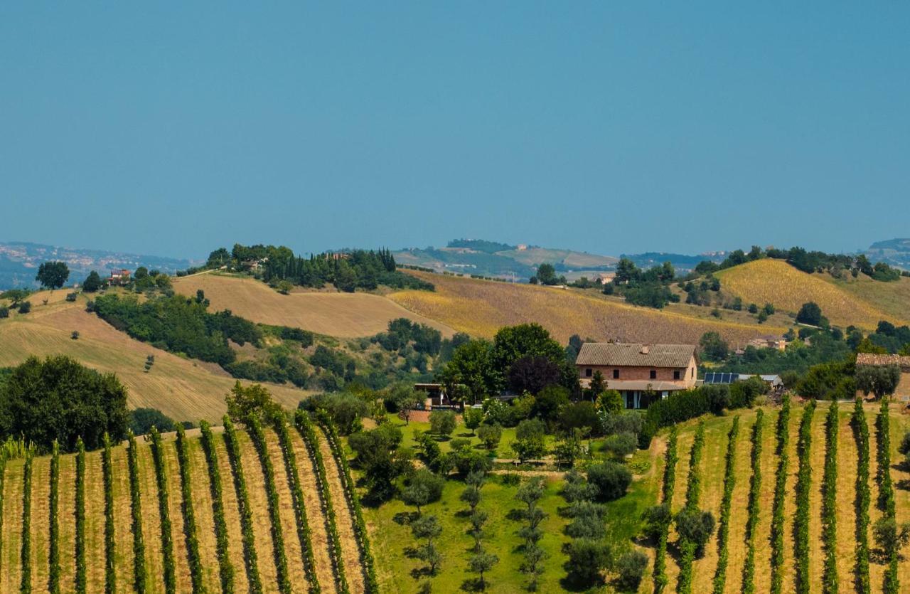 La Vigna Countrybnb Montottone Kültér fotó